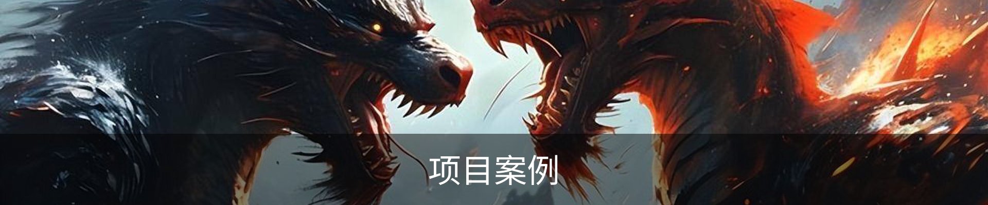 项目案例